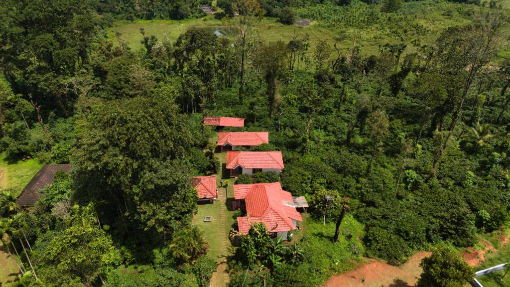 an overhead view of a group of houses with red roofs at Coffee County in Srimangala
