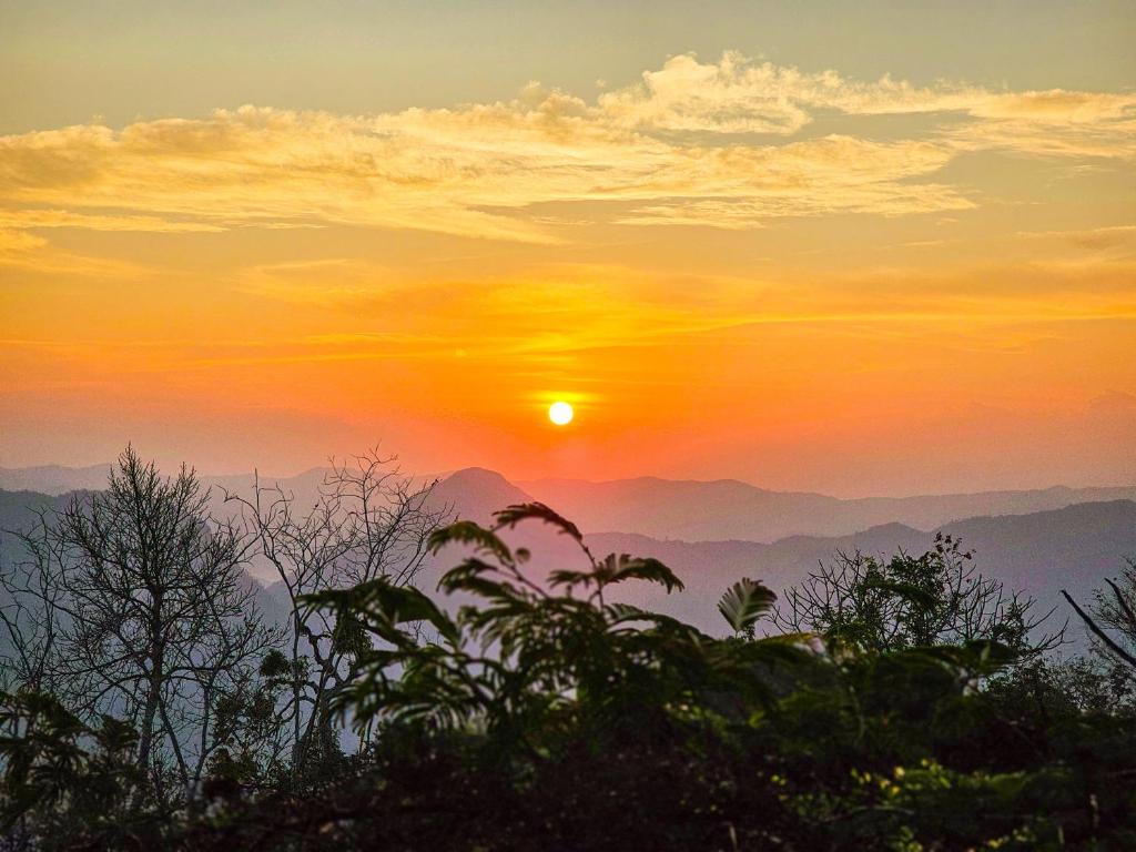 Pha Mok Paradise Camping in Nongkhiaw