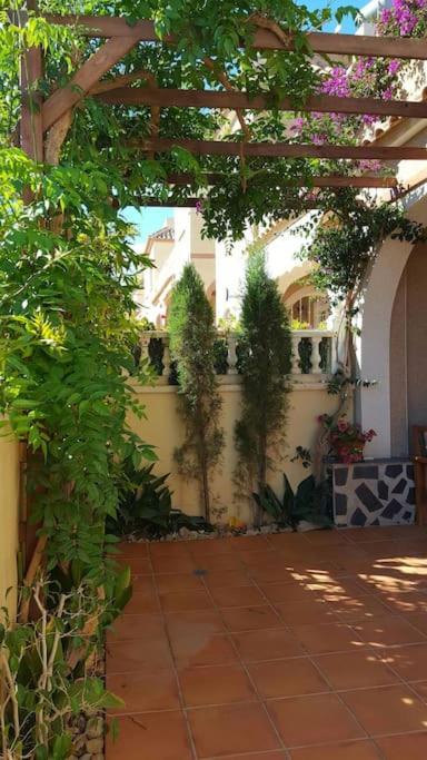 A garden outside Brisa del Mar
