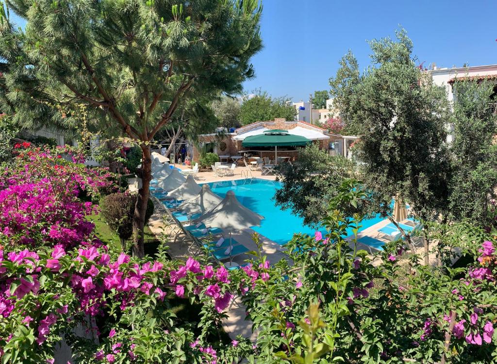 an overhead view of a swimming pool with flowers at Moonshine Hotel Suites in Bodrum City