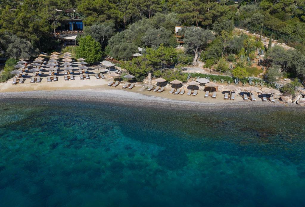an aerial view of a beach with chairs and umbrellas at WAM by Karma in Bodrum City