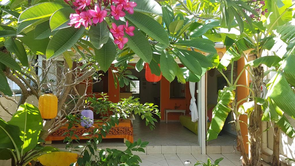 a house with a bunch of trees and flowers at Location Marigot in Terre-de-Haut
