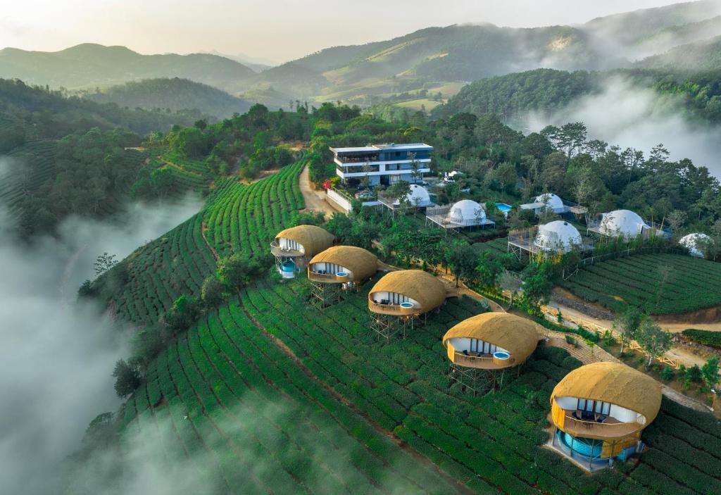 an aerial view of a group of domes on a hill at Monticle Glamps in Vagamon