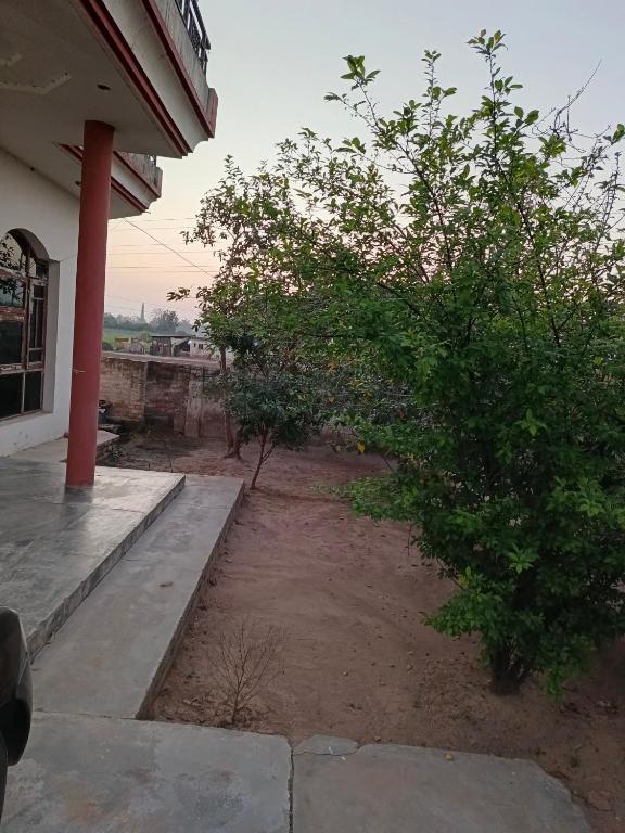 a tree in the dirt next to a building at Padda Farm house in Patiāla