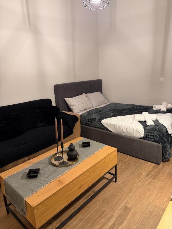 Modern studio apartment