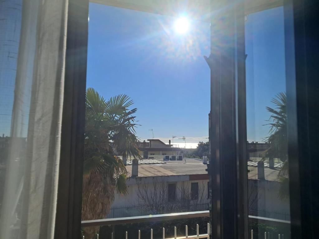 a window with a view of a palm tree at Il Nido di Chiara 2 in Formia