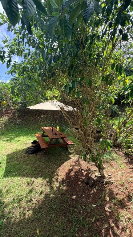 Vai Hea Lodge - photo 10 - Raiatea, Polynésie