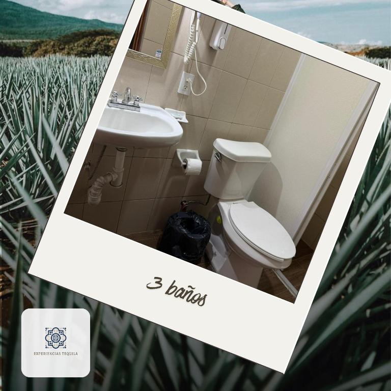 Casa Mexico, Tekilan