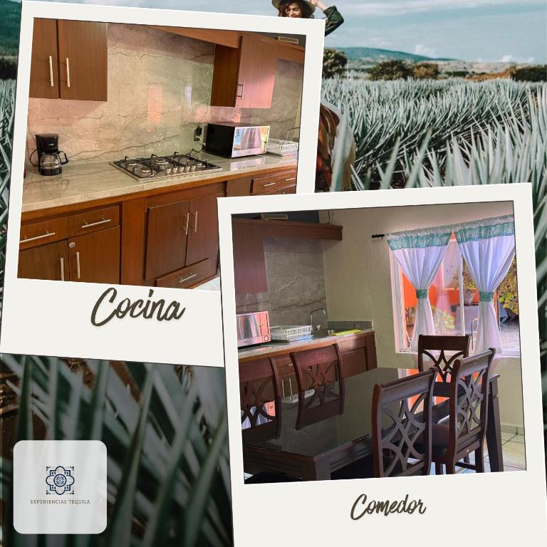 Casa Mexico, Tekilan