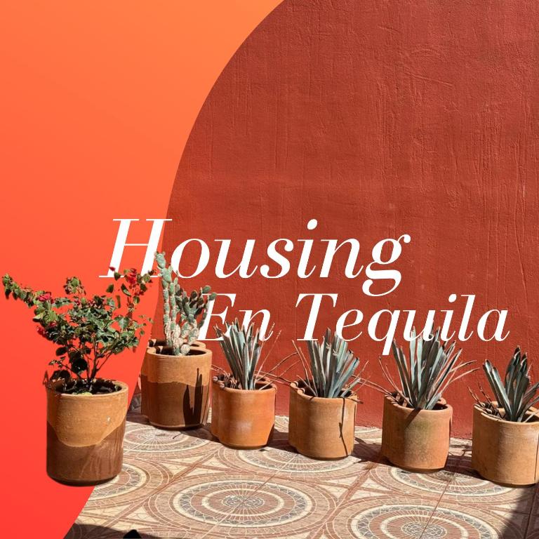 Casa Mexico, Tekilan