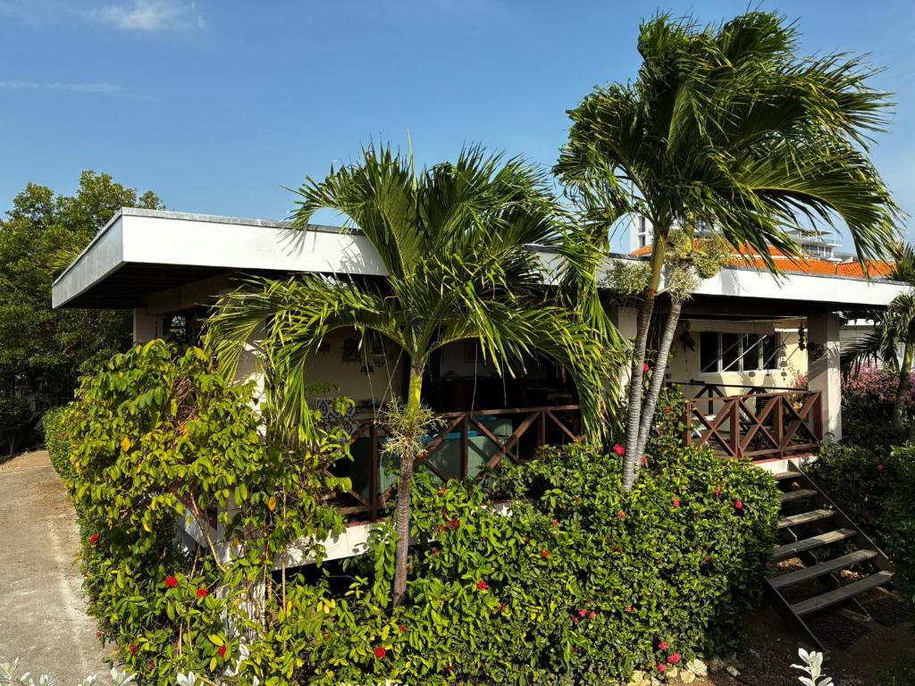 Jardí fora de Villa Witte Raaf