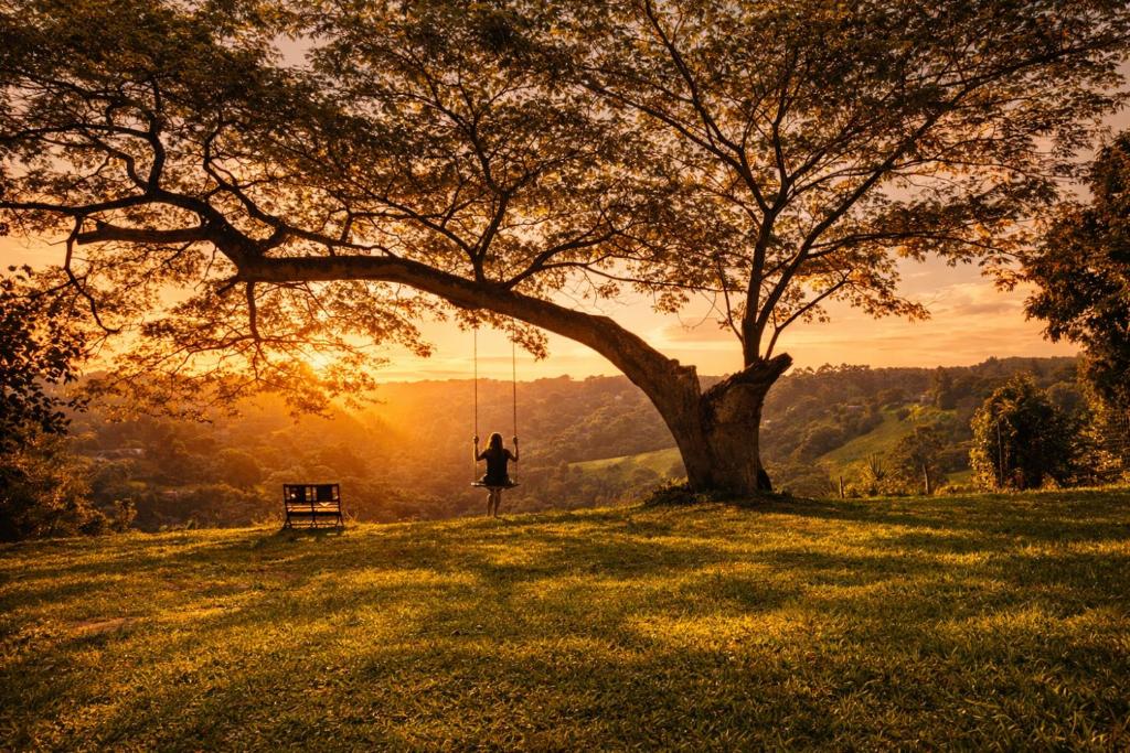 a person on a swing under a tree at Gallo Vista B & B in Gillitts-Emberton