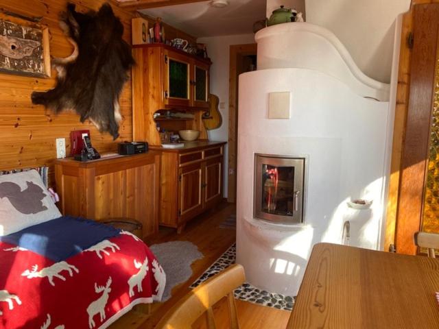 a kitchen with a refrigerator and a table in a room at Almhütte Steirische Botschaft in Aflenz Kurort
