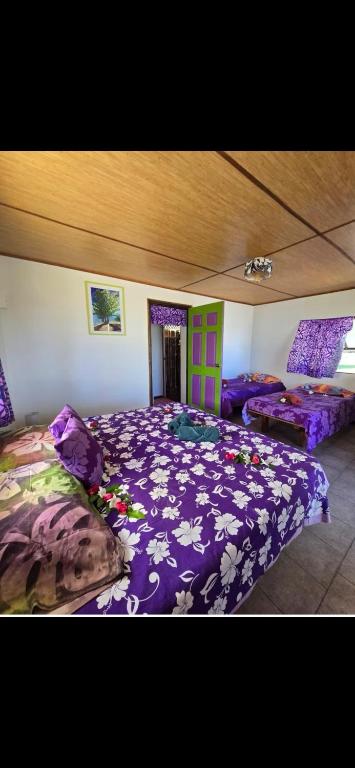 Pension Tipapa - photo 6 - Tikehau, Polynésie
