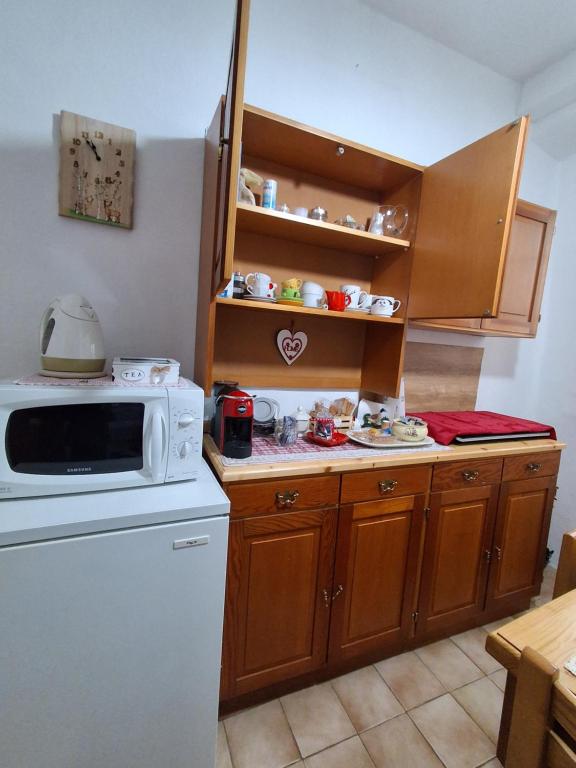 a kitchen with a white refrigerator and a microwave at Cà Gianarin in Bocenago