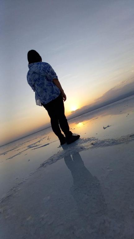 PALM PALACE Best BUDGET HOTEL & TOUR Options s