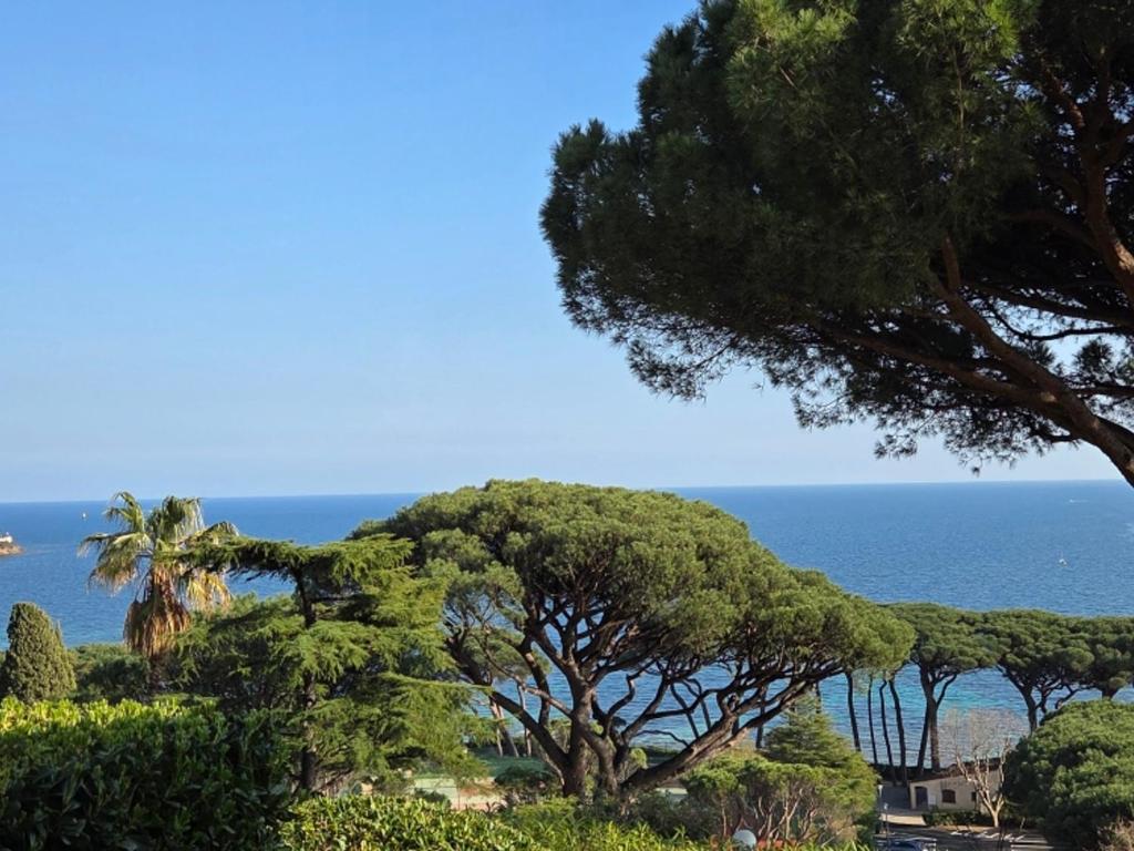 Appartement 2 Pièces Climatisé, Vue Mer, Sainte-Maxime