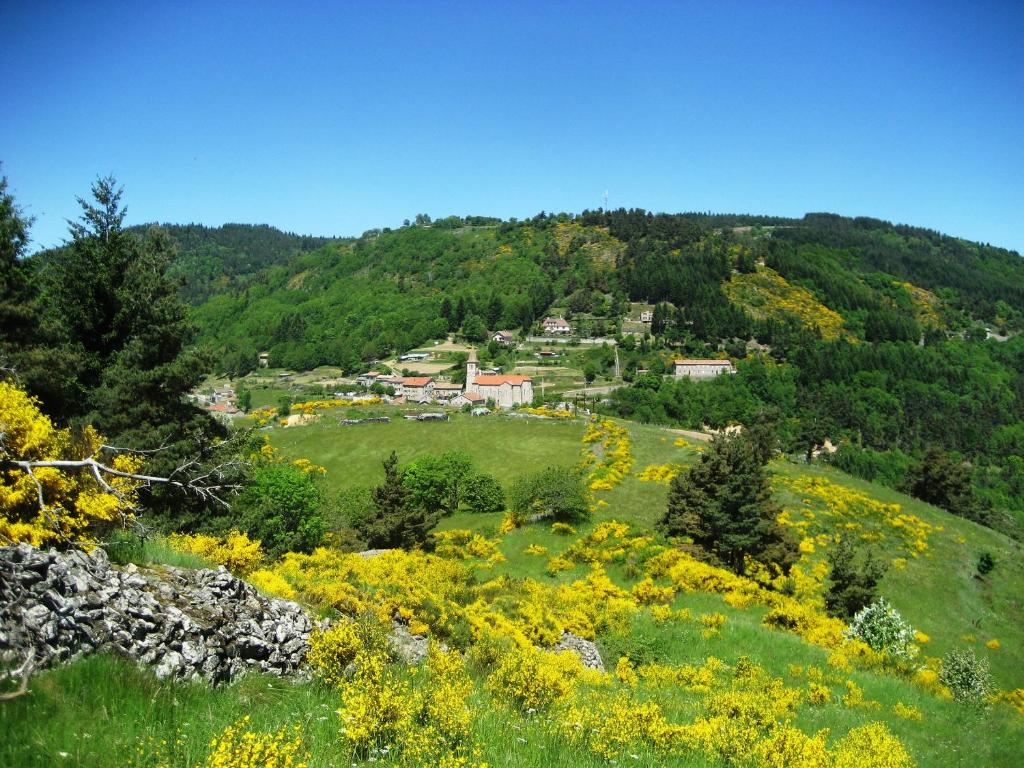 a field of yellow flowers on a hill with houses at Le Relais De Rochepaule in Rochepaule