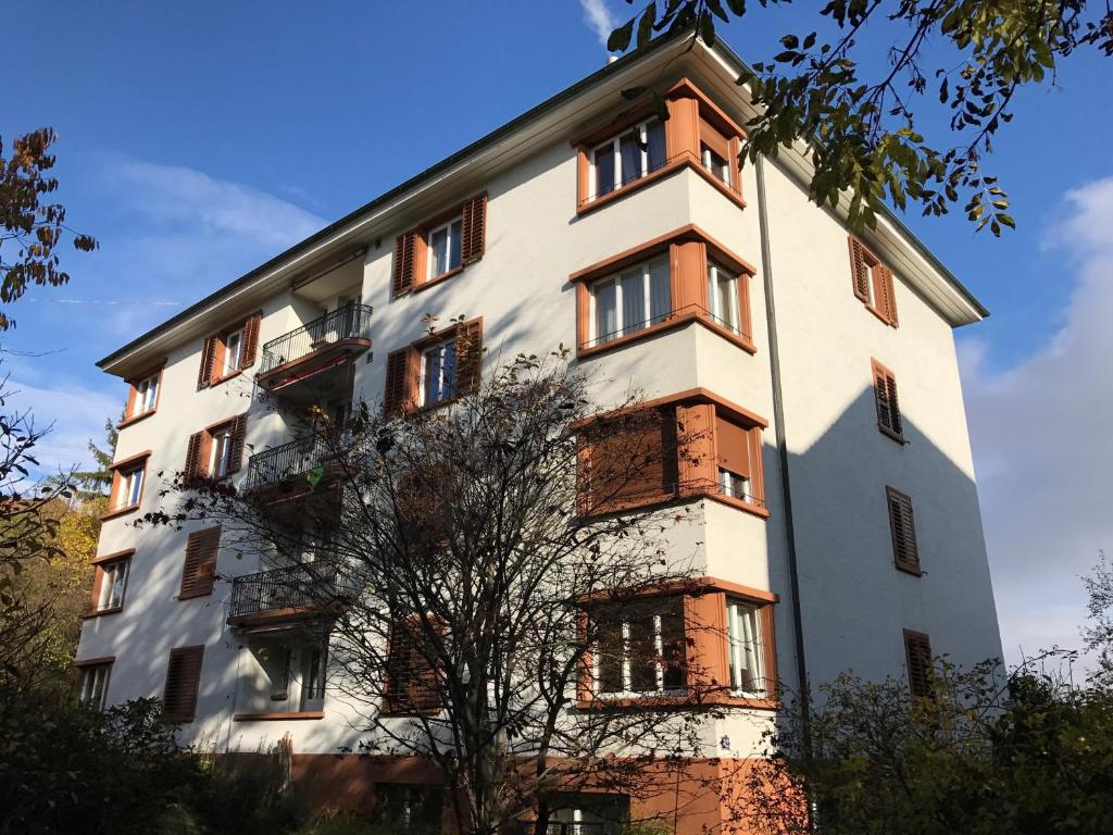 Zurich Furnished Apartments im Winter