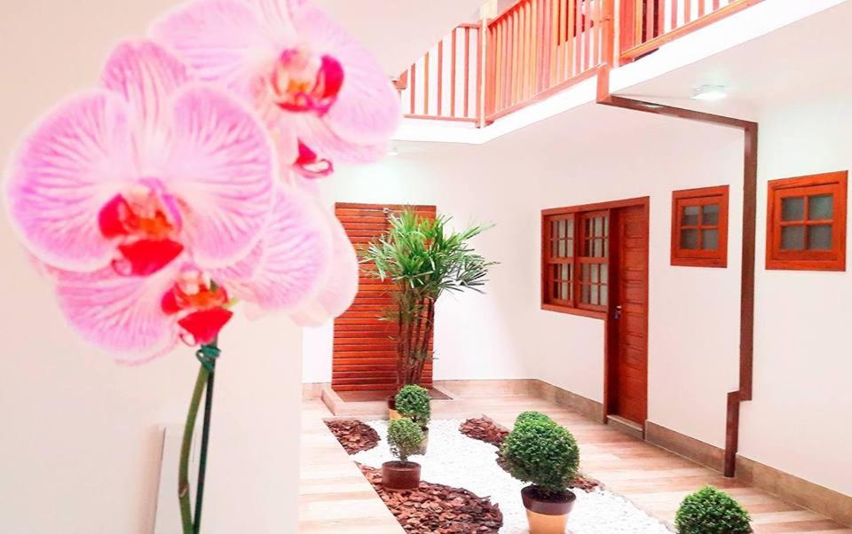 una habitación con orquídeas rosas y plantas en ella en Pousada Refugio de Paraty, en Paraty