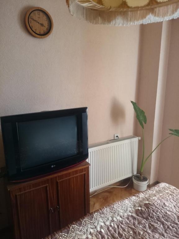 TV a/nebo společenská místnost v ubytování Apartment Erekle