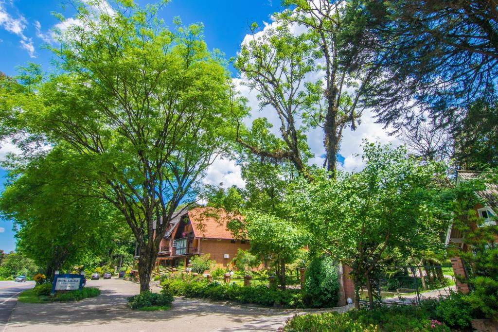 Hotel Azaleia  Hotel Azaleia