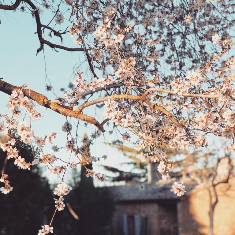 La Saracina