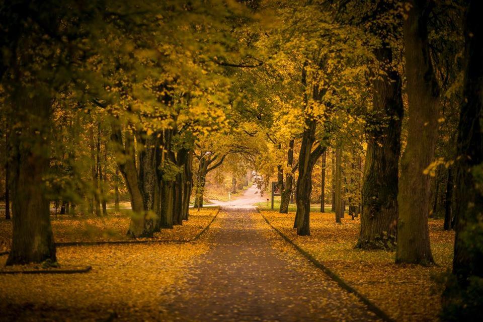 Fotografie z fotogalerie ubytování Biały Dwór v destinaci Kwidzyn