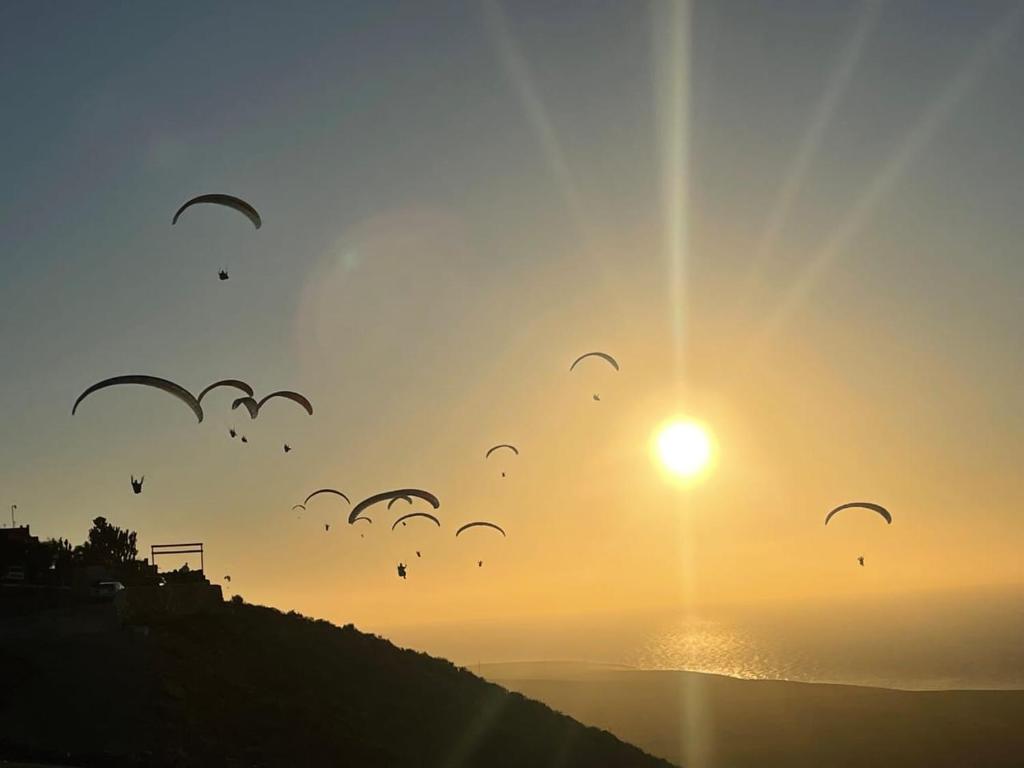 a group of kites flying in the sky at sunset at DreamCatcher Paragliders in Tamelalt