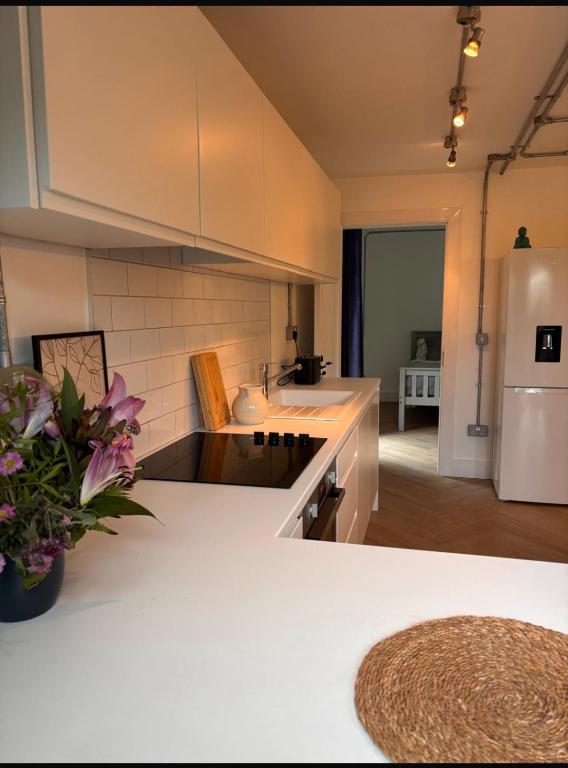 a kitchen with a sink and a white refrigerator at Rosscarbery in Temple Bridge