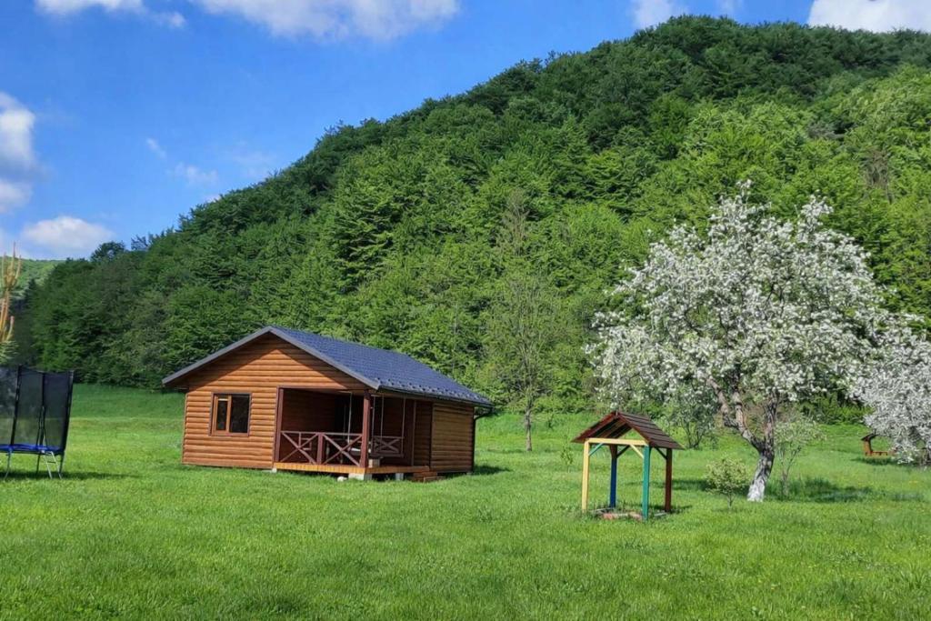 a cabin in the middle of a field with a tree at Оберіг in Sheshory