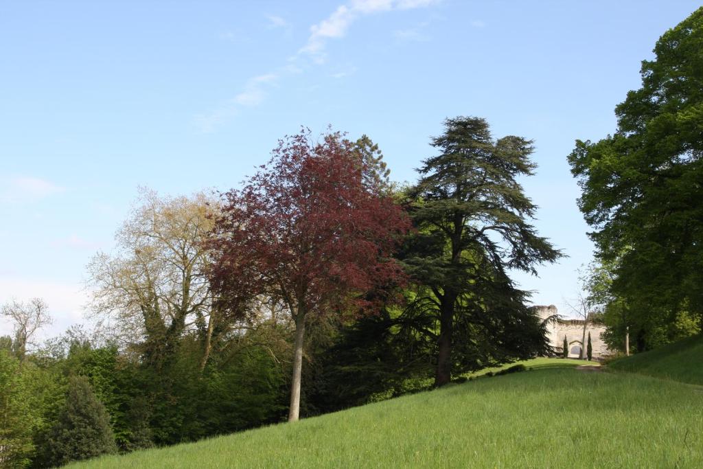 サン・テニャンにあるAux Grilles Du Châteauの木々と芝生の丘の上の家