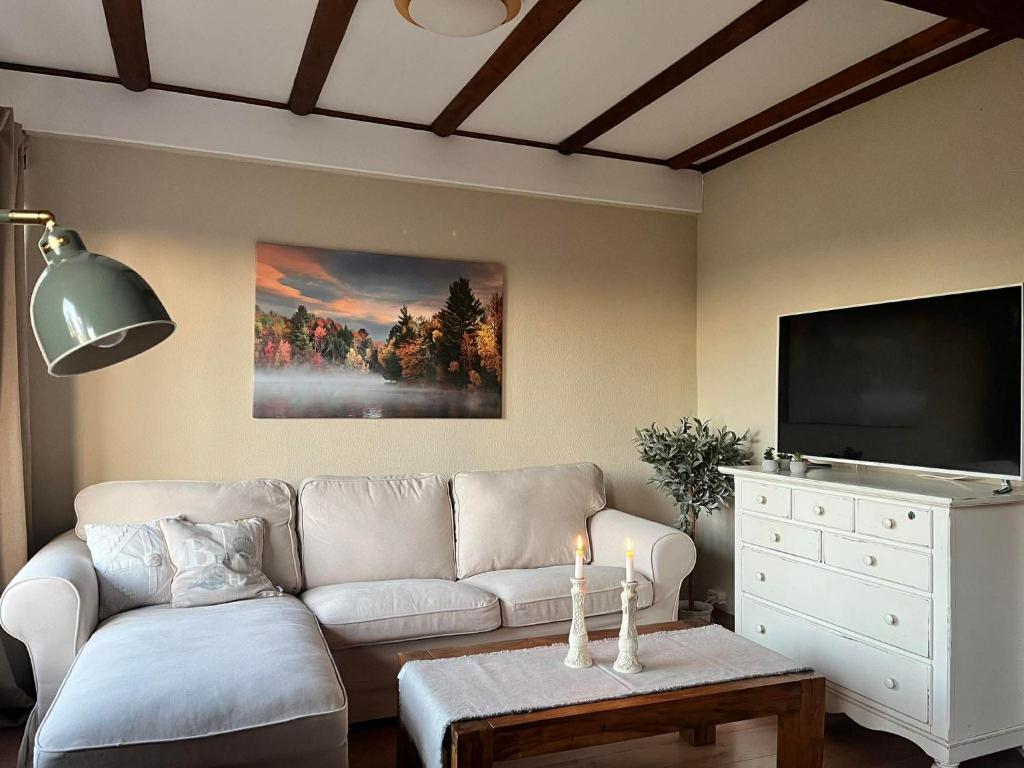 a living room with a couch and a flat screen tv at Ferienhaus Lisa am Silbersee in Frielendorf