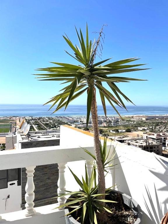 a palm tree on a balcony with the ocean in the background at Villa grand large in Tamraght Ouzdar