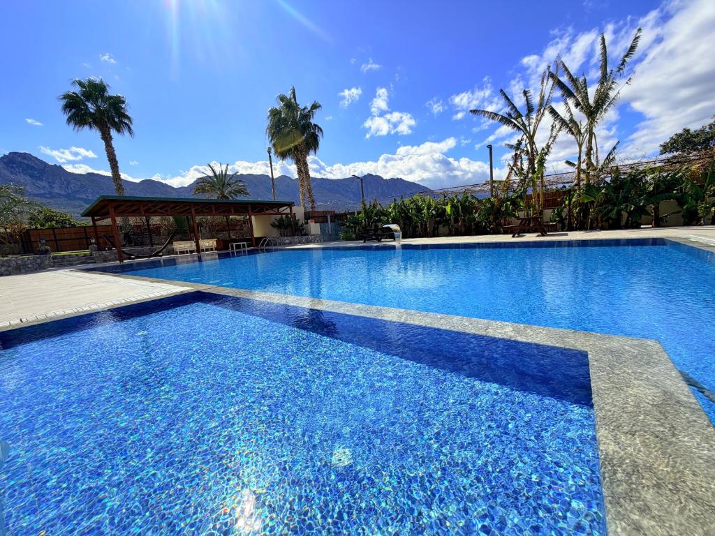 a large blue swimming pool with palm trees and mountains at The Horse Farm Hotel in Kyrenia