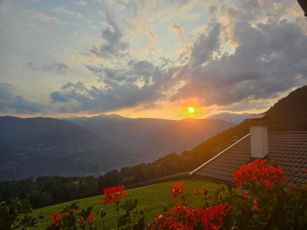 a view of the sunset from a house with flowers at Eichernhof Apartment Marillenblüte in Verano