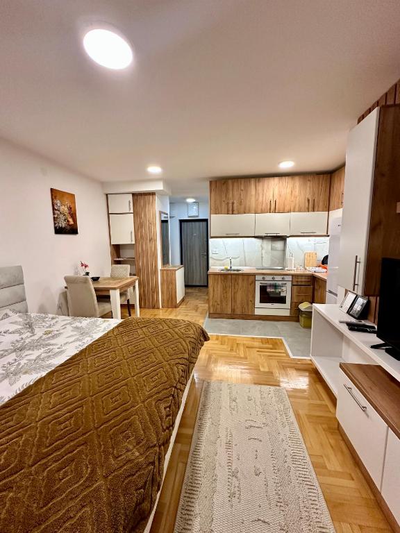 a large bedroom with a bed and a kitchen at Vidolux Studio - Free Garage and Fast WiFi in Niš