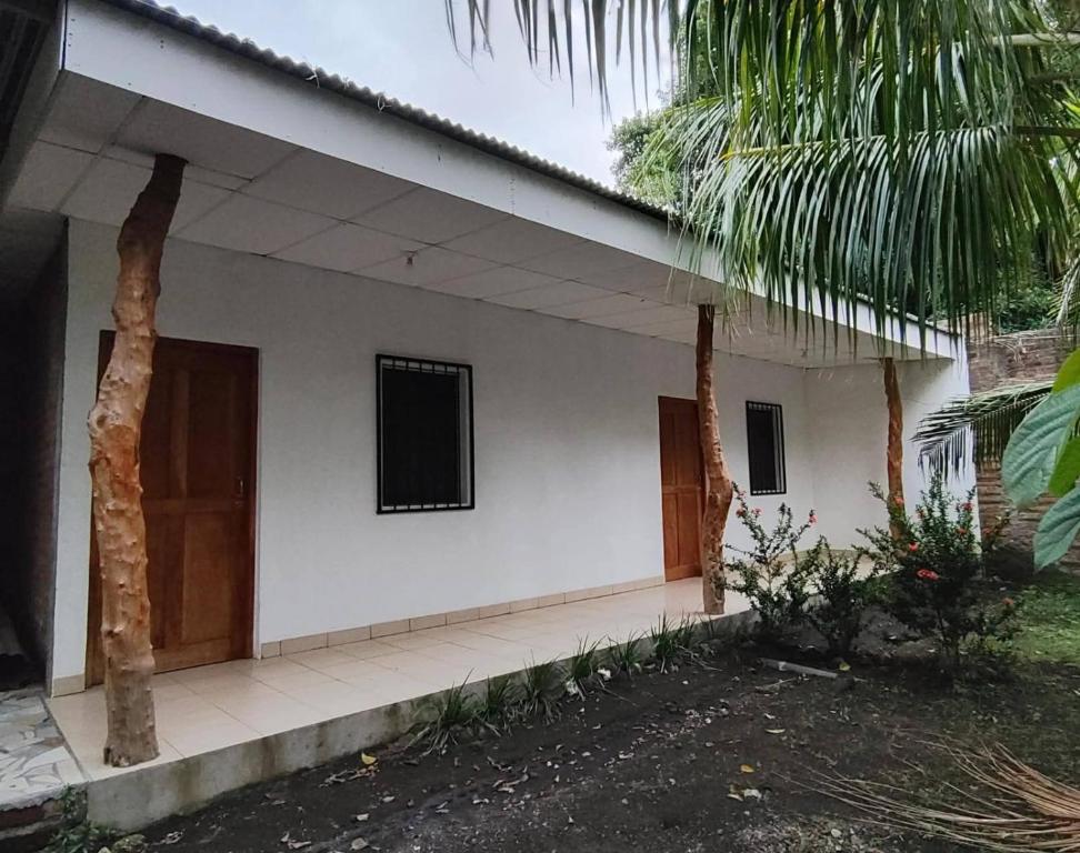 a white house with two palm trees in front of it at Hostal Jireh in Altagracia