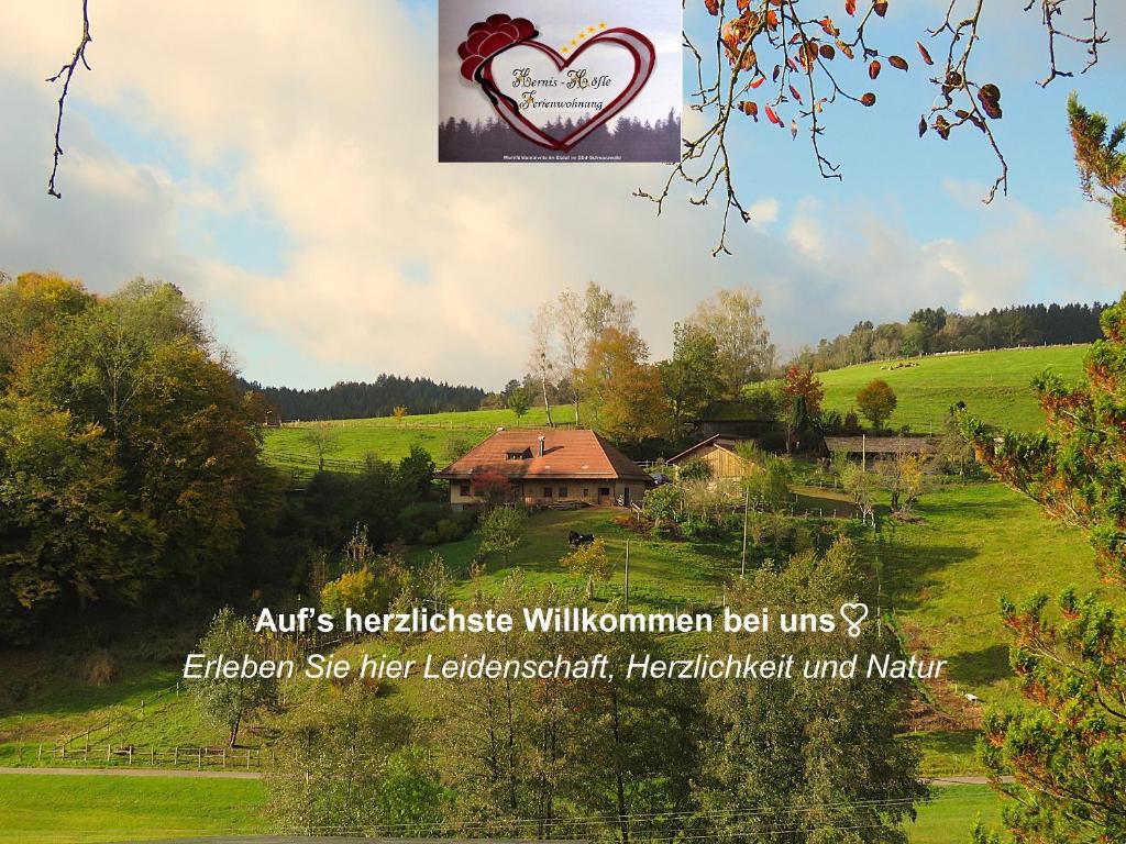 ein Bild von einem Haus auf einem Feld mit einem Herz in der Unterkunft Hernis-Höfle 5 Sterne "Wohlfühlambiente " im Elztal in Elzach