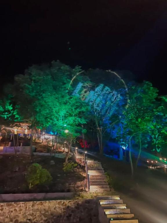 a group of trees at night with blue lights at abot langit calatagan in Calatagan