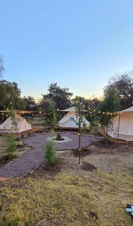 a group of tents in a field with trees at Finca los ciervos in Apan