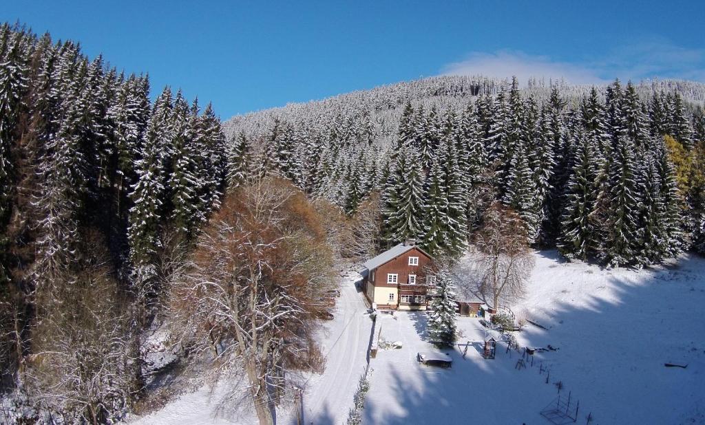 a house in the middle of a snow covered forest at Myslivna in Černý Dŭl