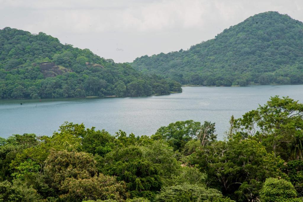 Blick auf einen Fluss mit Bäumen und Bergen in der Unterkunft Lavendish Lake Giritale - Former Giritale Hotel in Polonnaruwa
