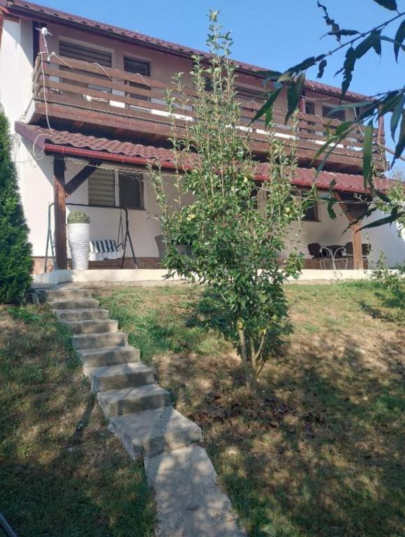 a house with a stone path in front of it at Vila Sabo in Sîntioana