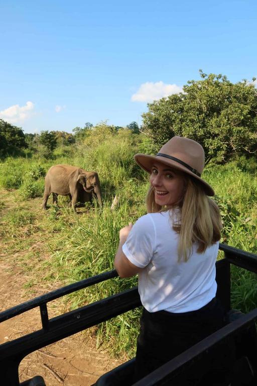 a woman in a hat standing next to a fence with elephants at Elephant paradise Safari lodge in Udawalawe