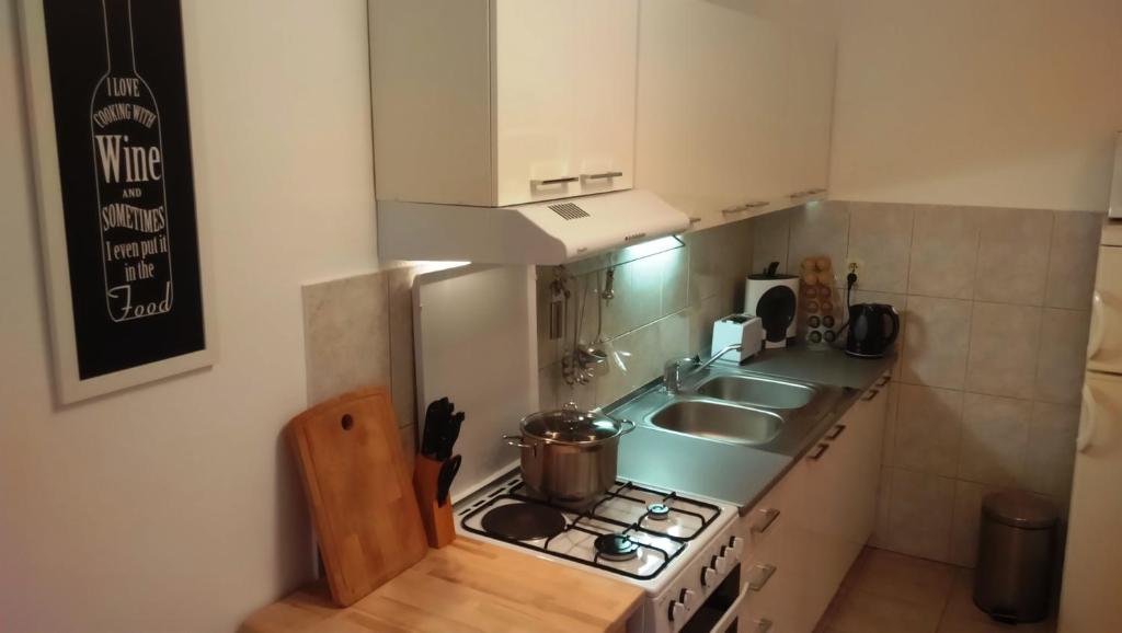 Kuchyň nebo kuchyňský kout v ubytování Apartment Jere & Anka