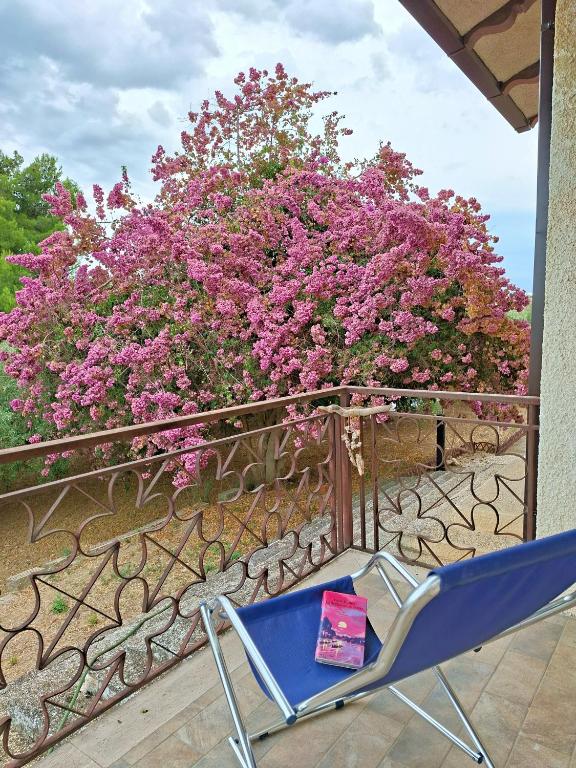 a blue chair sitting on a balcony with pink flowers at White Cottage - WelcHome in Mozzagrogna