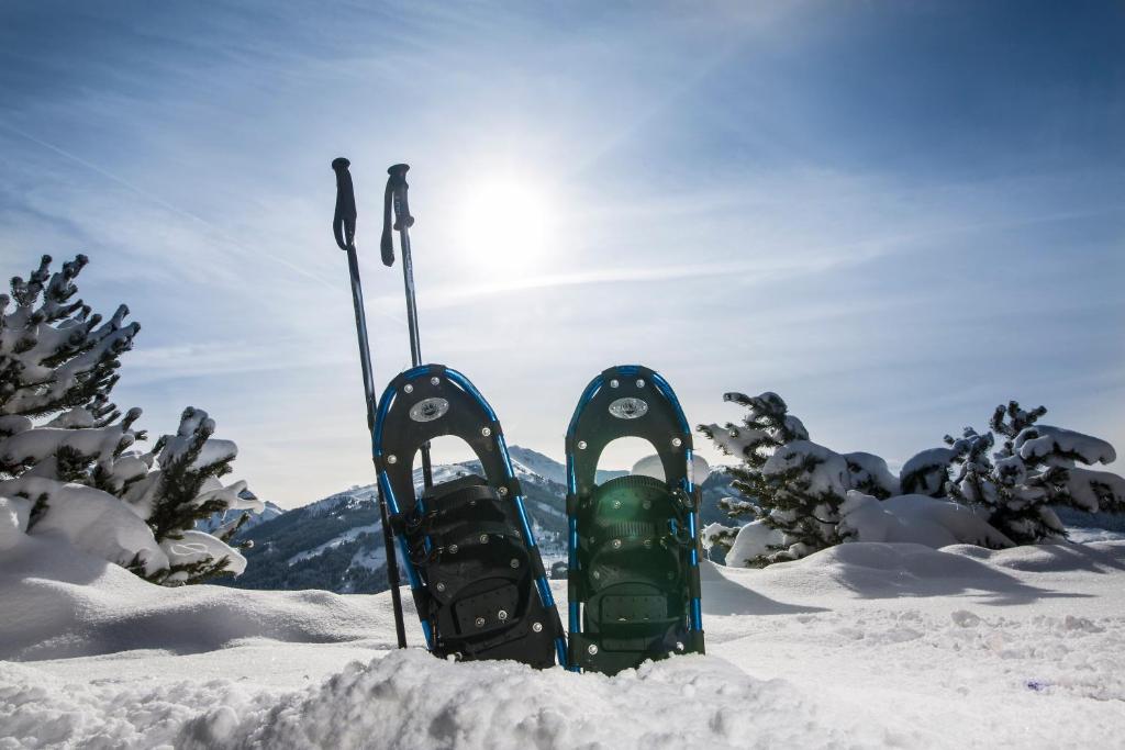 Luxus Chalet Bischofer- Bergwelt during the winter