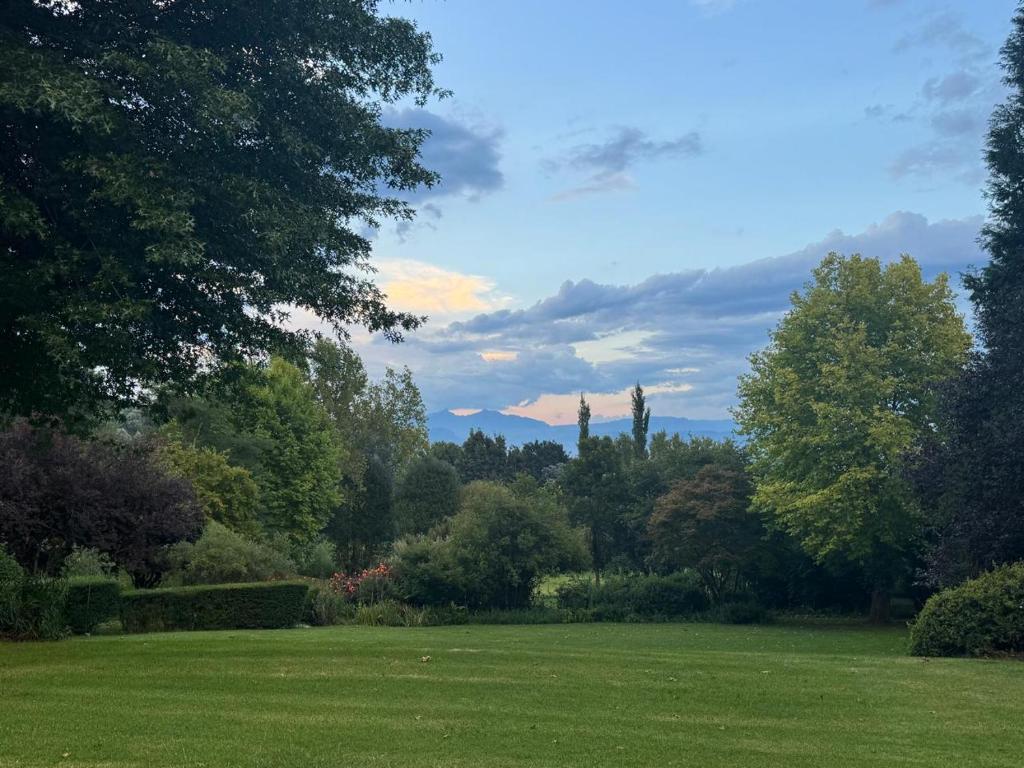 a grassy field with trees and mountains in the background at Hawley House in Underberg