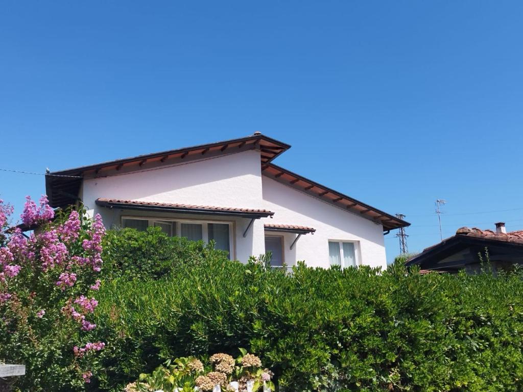 a white house with green bushes and flowers at Helianthus in Il Romito